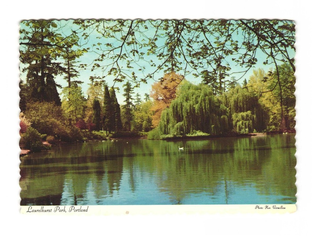 Portland Oregon - overlooking the pond in Laurelhurst Park VTG postcard Unp