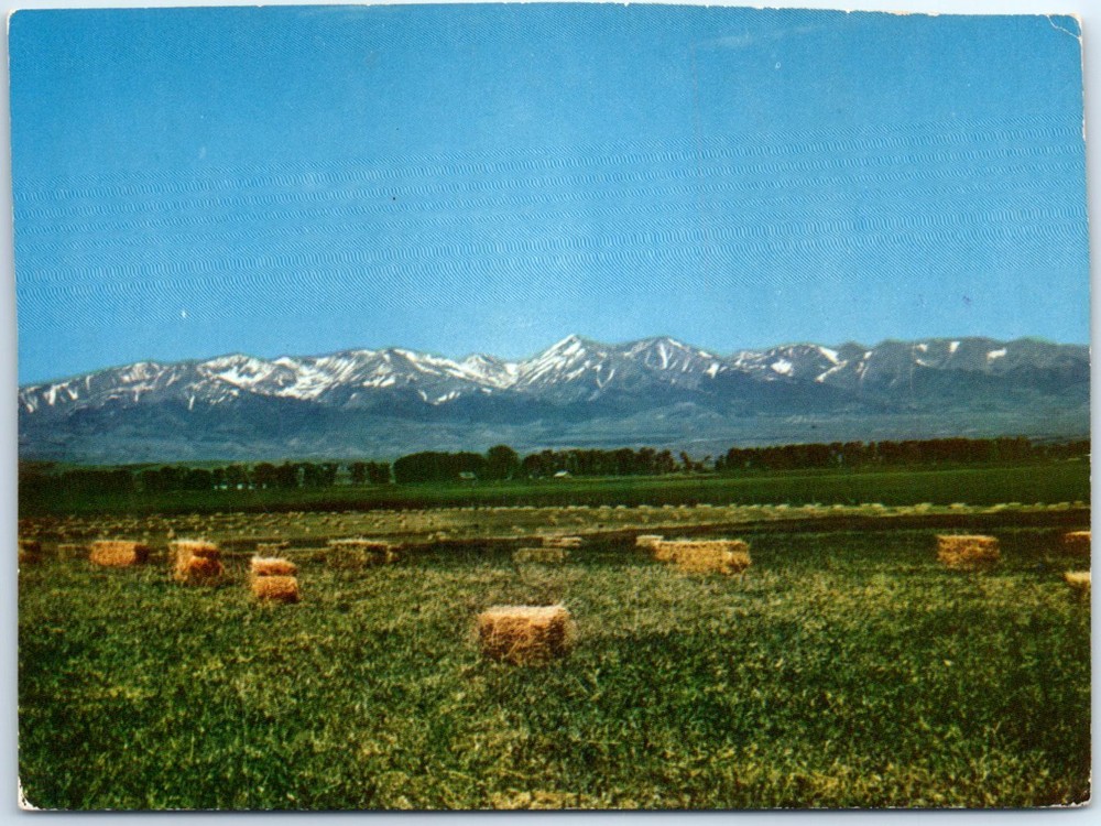 Postcard - Montana - Mountains - USA, North America