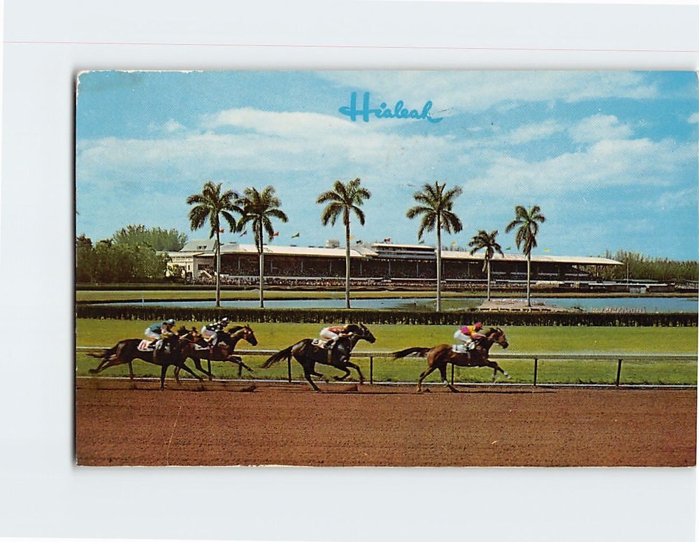 Postcard Thrilling Race at Hialeah Racecourse Florida USA