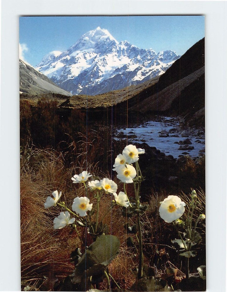 Postcard Mt. Cook New Zealand