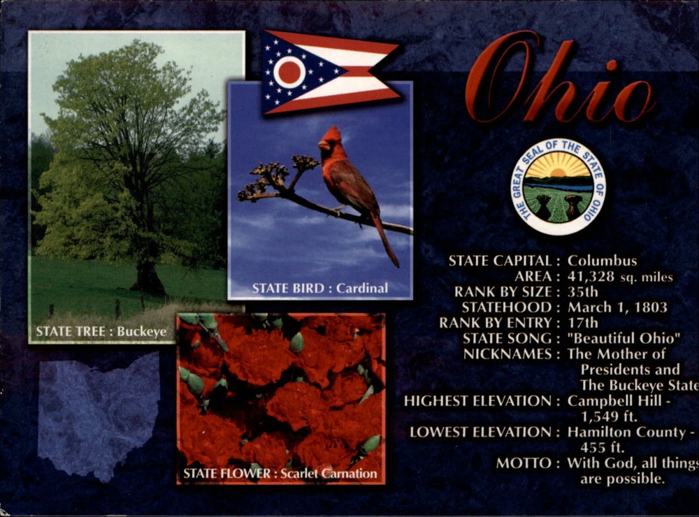 Ohio Columbus State Capitol bird Cardinal tree Buckeye ~ unused postcard sku869