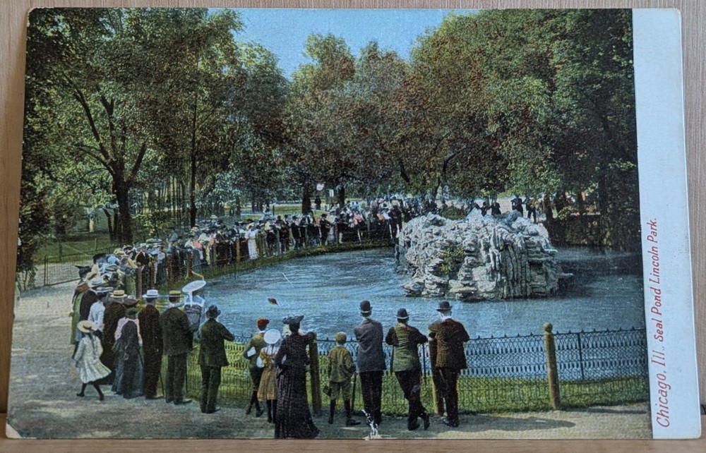 IL Chicago Seal Pond Lincoln Park with Crowd HC Leighton Postcard