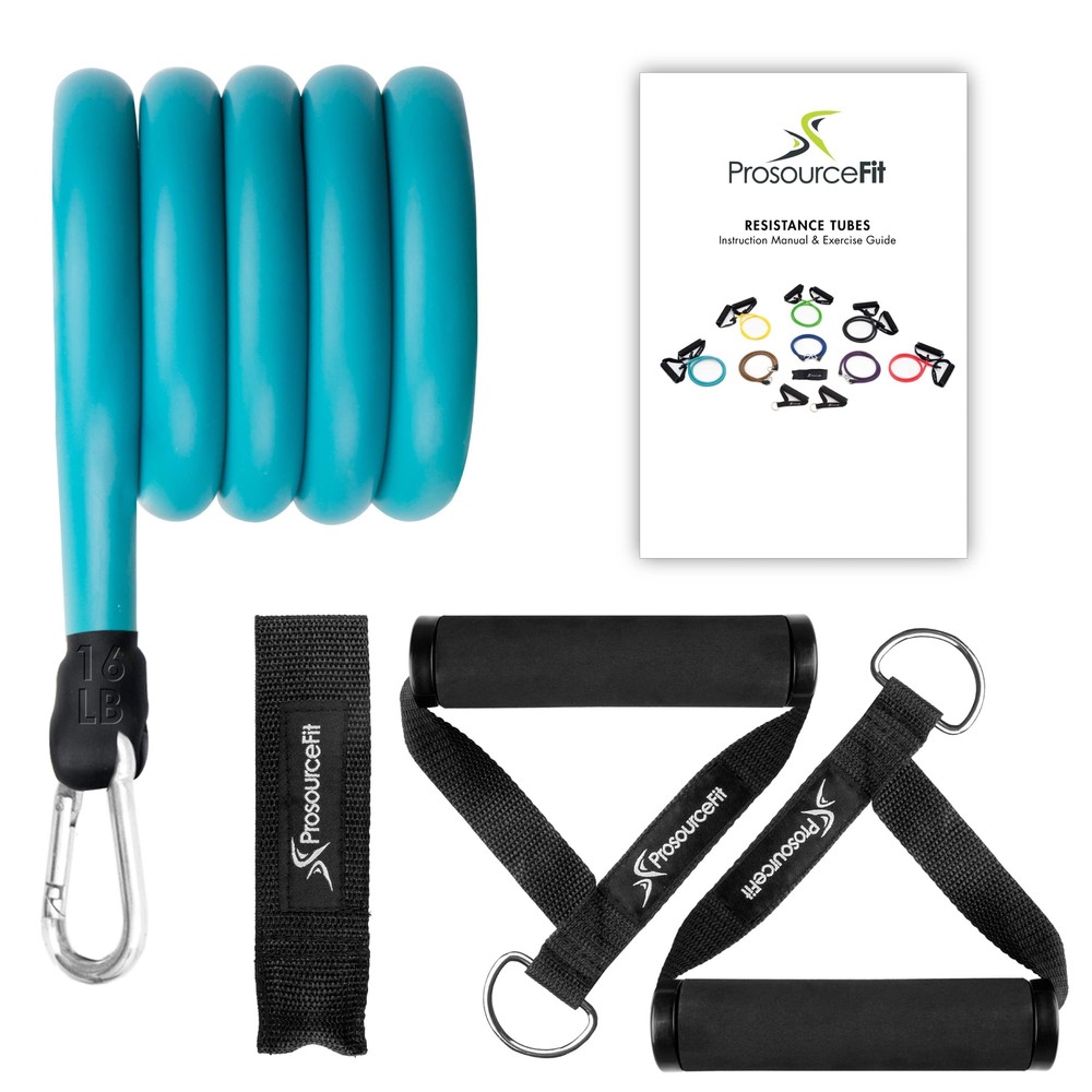 Single Stackable Resistance Bands with Door Anchor and Exercise Guide for 12-16 lbs Strength Training