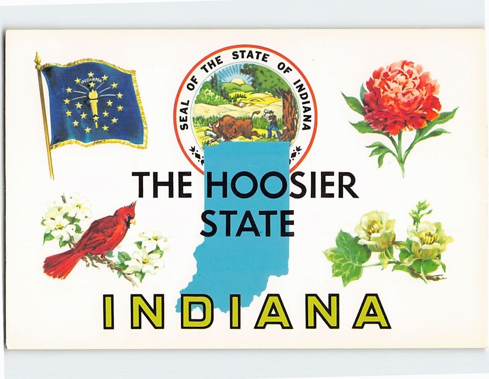 Postcard State Flag, Bird, Flower & Tree of The Hoosier State Indiana USA