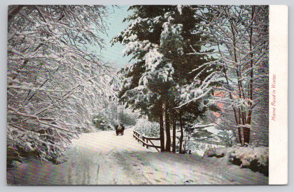 Vintage Maine Road in Winter Horse Sleigh Snow Postcard Hugh C Leighton