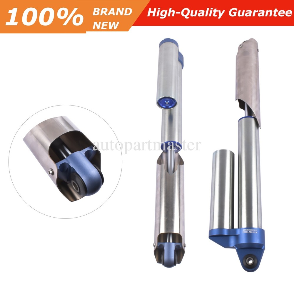 BL3Z18125K Pair Rear Shock Absorber Struts for Ford F150 FX4 STX SVT XLT 2010-14