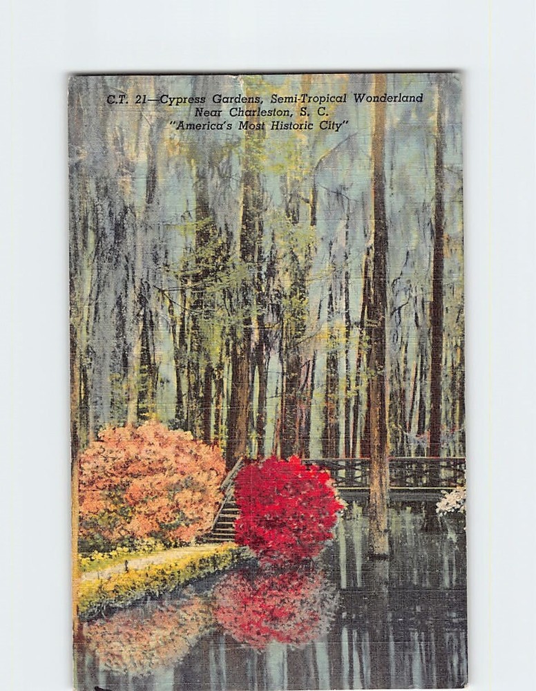 Postcard Beautiful Scene in Cypress Gardens Florida USA