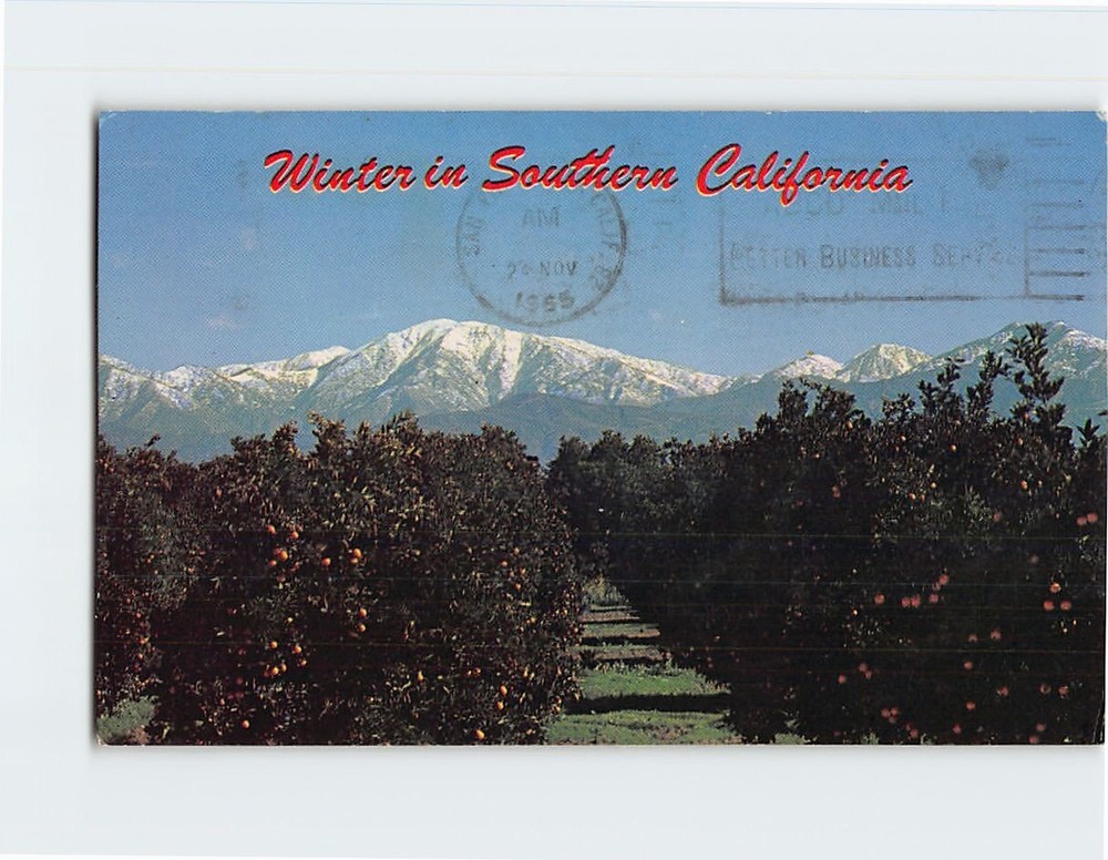 Postcard Winter Scene Southern California USA