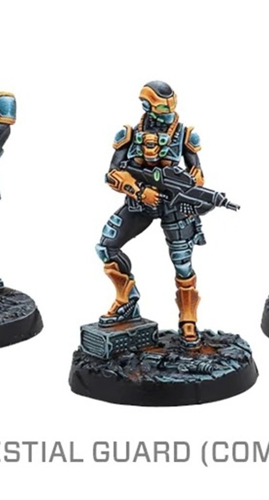 Infinity Yu Jing Celestial Guard Female Combi Rifle