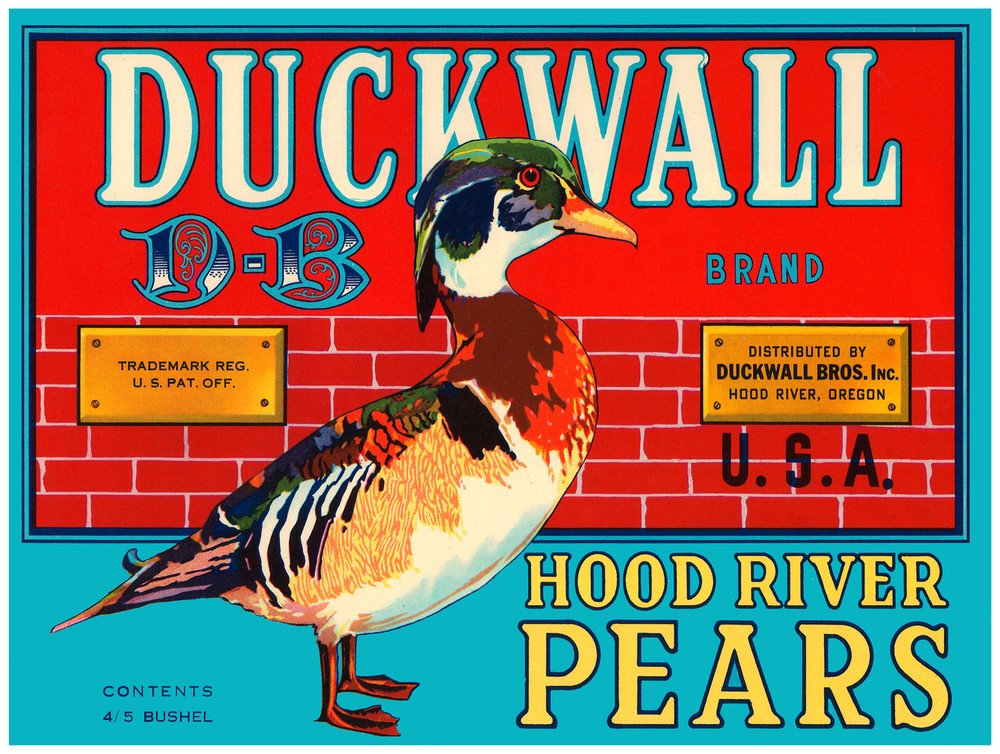 8815.Duckwall brand.hood river pears.duck.POSTER.art wall decor graphic art