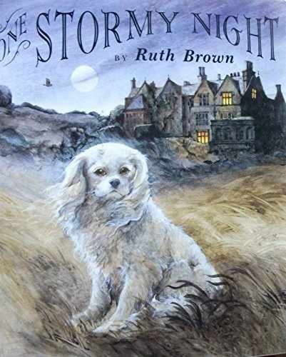 One Stormy Night - Hardcover, by Brown Ruth - Acceptable j