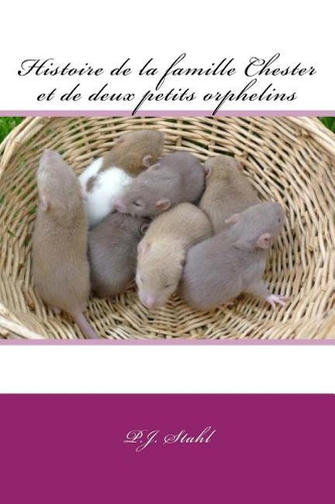 Histoire de la famille Chester et de deux petits orphelins by P.J. Stahl (French