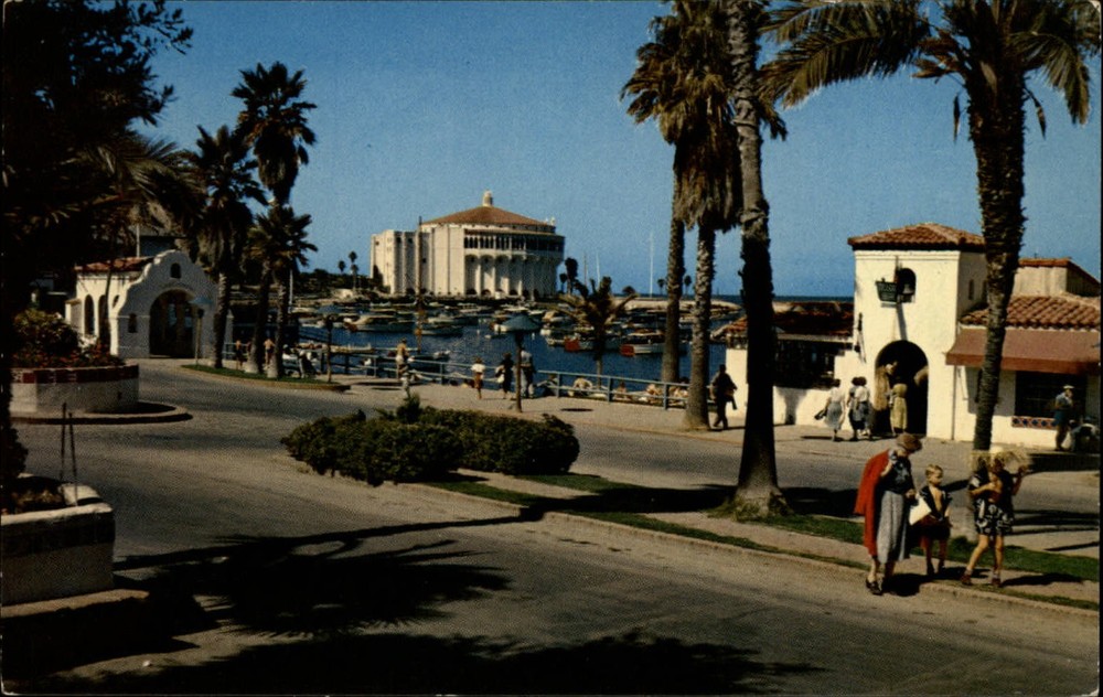 Crescent Avenue Avalon California vintage postcard h475