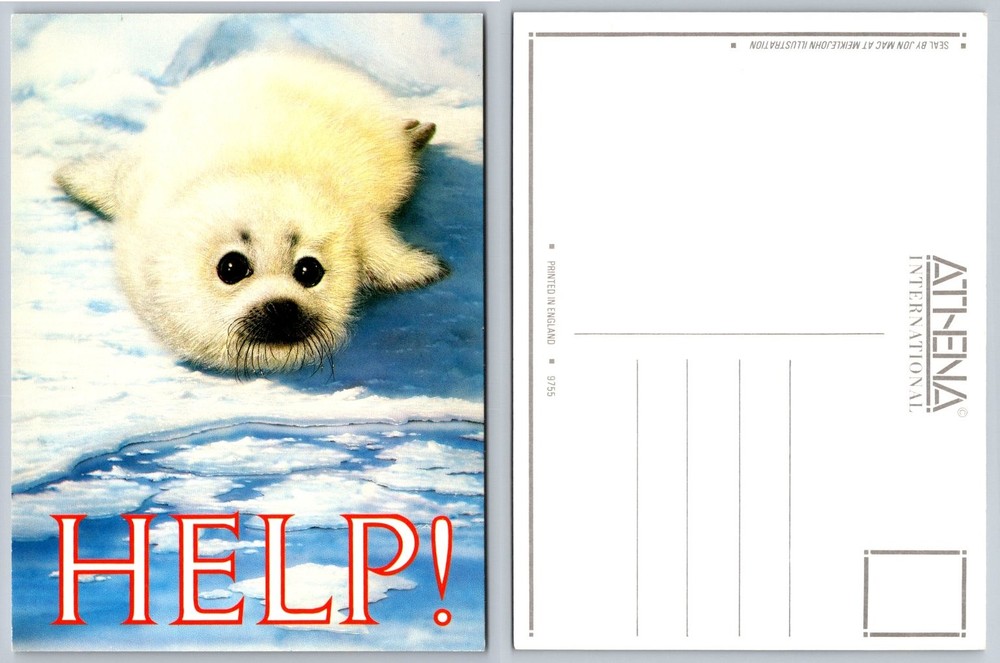 Vintage Baby Seal Pup 'HELP!' Postcard Athena International Jon Mac Art