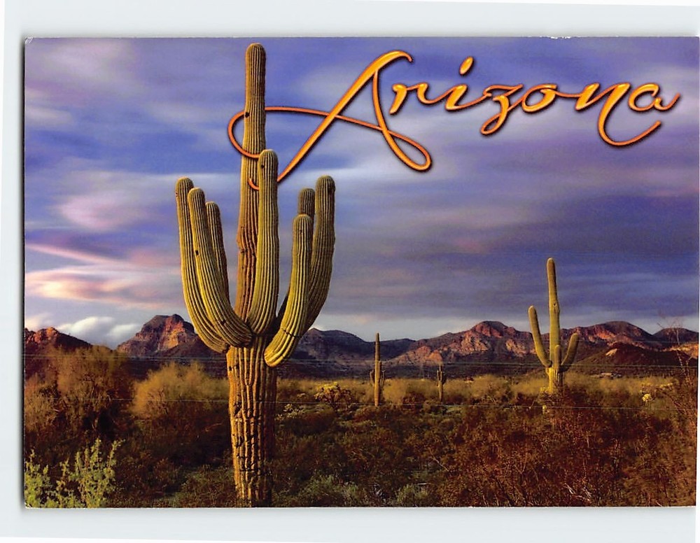 Postcard Saguaros Cactus Superstition Mountains Arizona