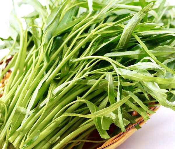 Ong Choy, Water Spinach - 200 Seeds - USA