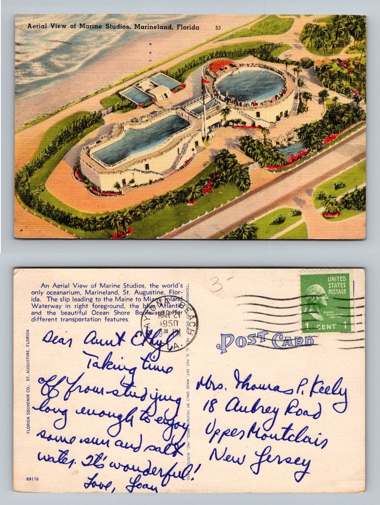 Marineland, FL-Florida, Aerial Marine Studios Oceanarium Vintage c1950 Postcard