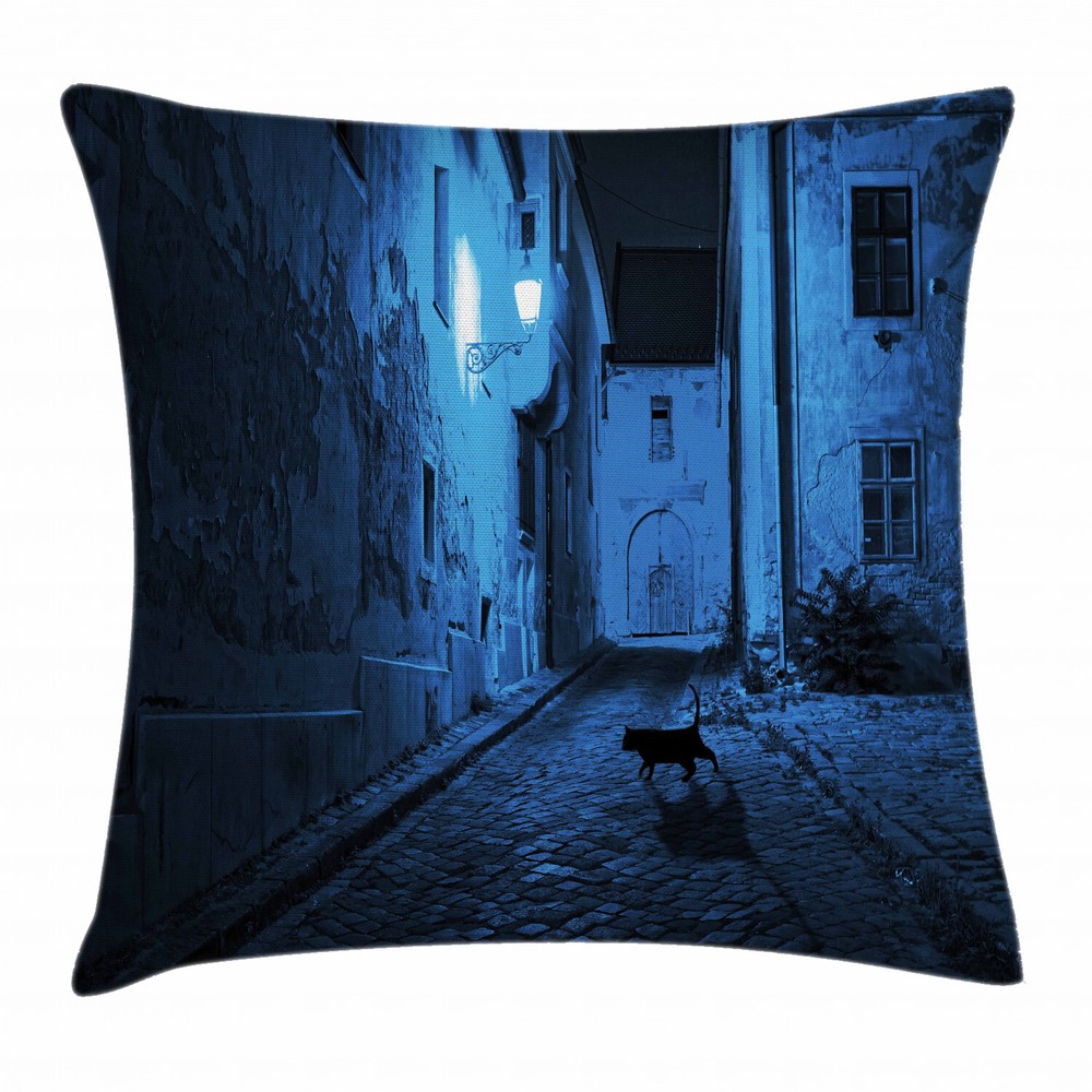 Urban Black Cat Deserted Street Square Pillow Case 20 Inches Cover
