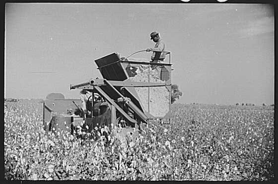 Hopson Plantation,Clarksdale,Mississippi Delta,Mississippi,MS,1939,FSA