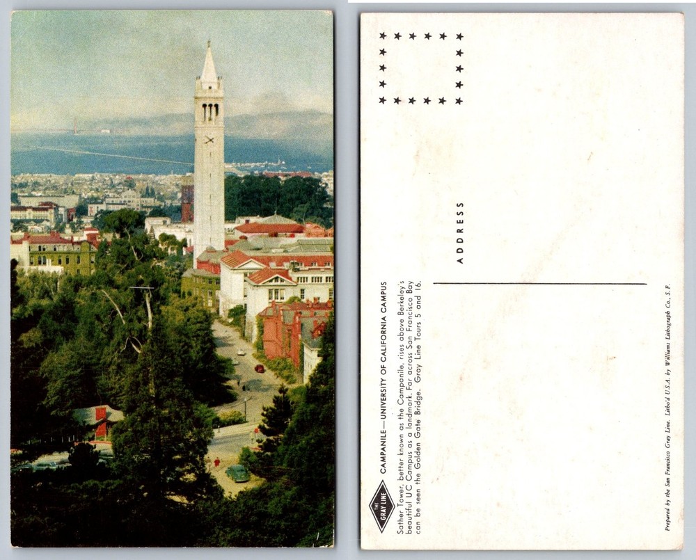 UC Berkeley Campanile Sather Tower Golden Gate Bridge San Francisco Bay Postcard