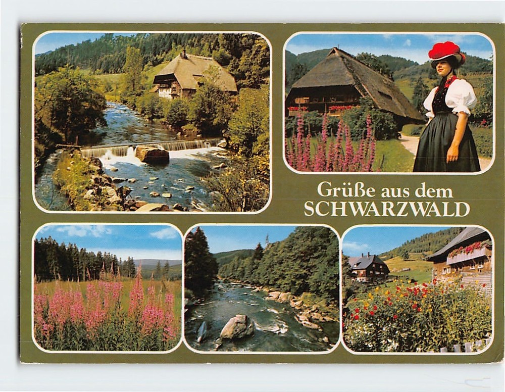 Postcard Scenes & Views Greetings from the Black Forest Germany