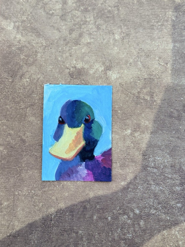 ACEO ORIGINAL  Animal Duck Ducks Mallard Cute Nature Wildlife Tinycanvasbyh