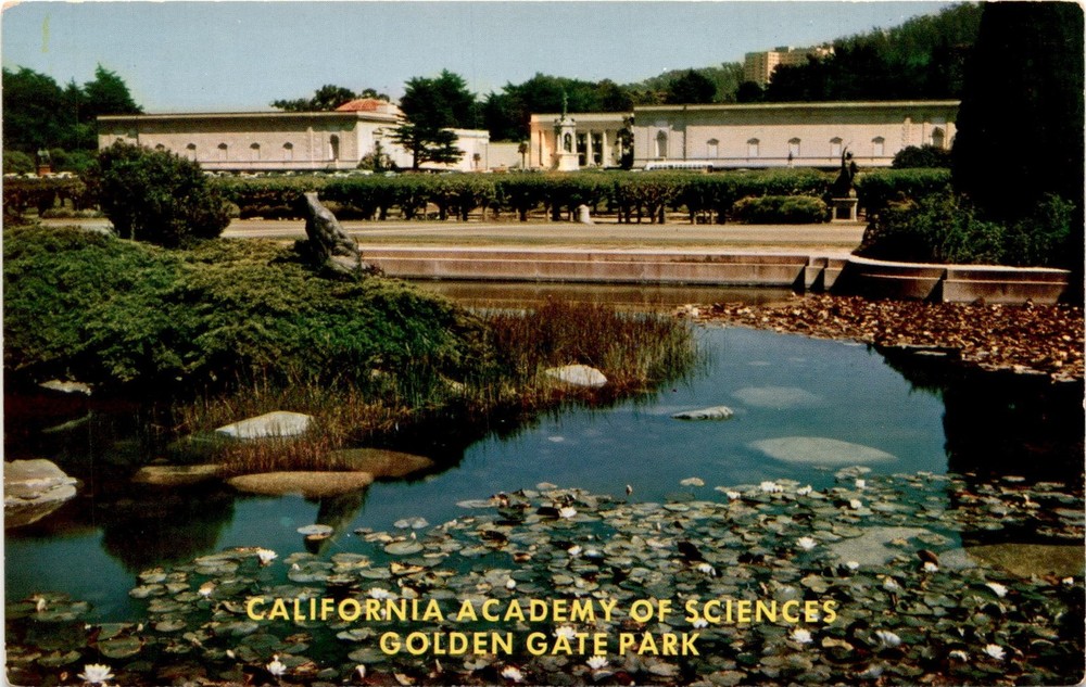 California Academy of Sciences, Golden Gate Park, San Francisco, Postcard-image