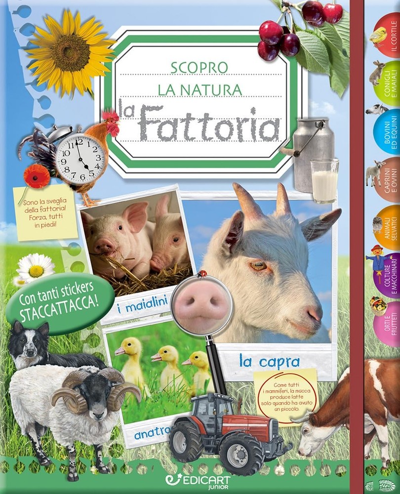Simonetta Porce La fattoria. Scopro la natura. Con adesivi. Ediz. il (Paperback)Another great item from Rarewaves USA | Free delivery!