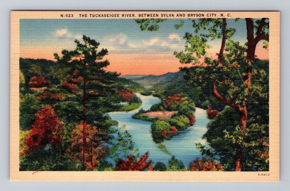 Bryson City NC-North Carolina Tuckaseigee River Near Sylva Vintage Postcard