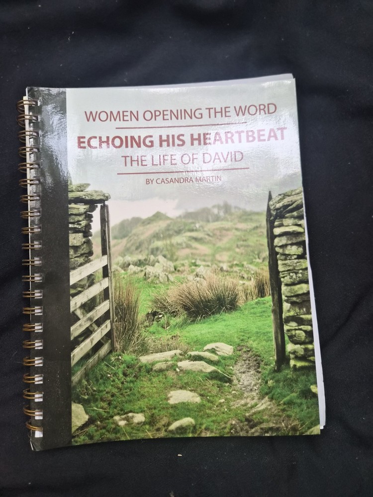 Echoing His Heartbeat - The Life of David by Casandra Martin