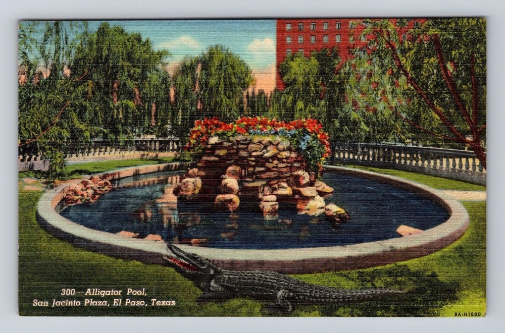 El Paso TX- Texas, Alligator Pool, San Jacinto Plaza, Antique, Vintage Postcard