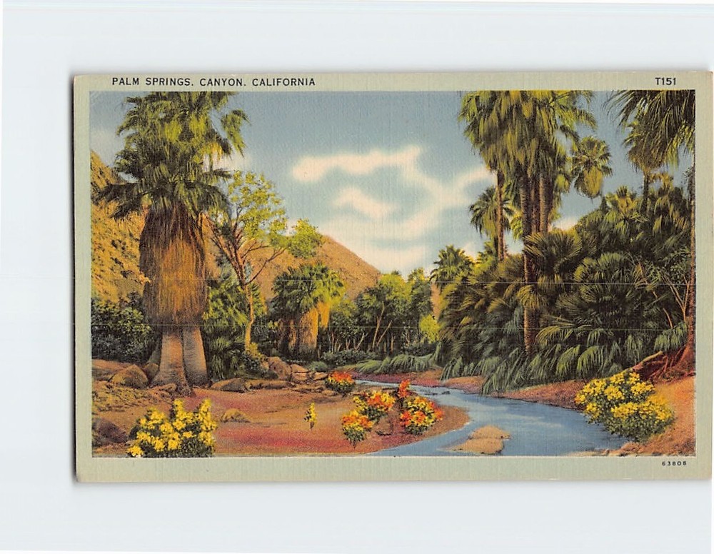 Postcard Palm Springs Canyon Palm Springs California USA