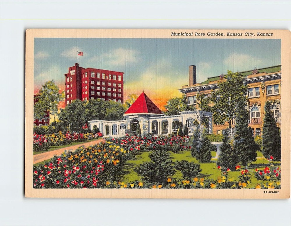 Postcard Municipal Rose Garden Kansas City Kansas USA