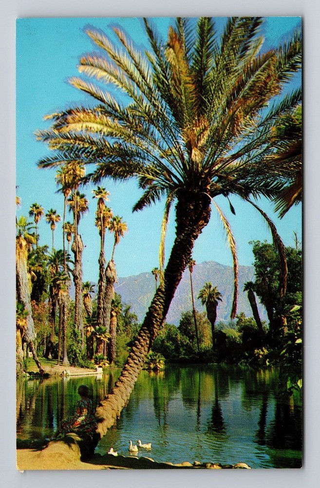 Arcadia CA-California Los Angeles State and County Arboretum Vintage Postcard