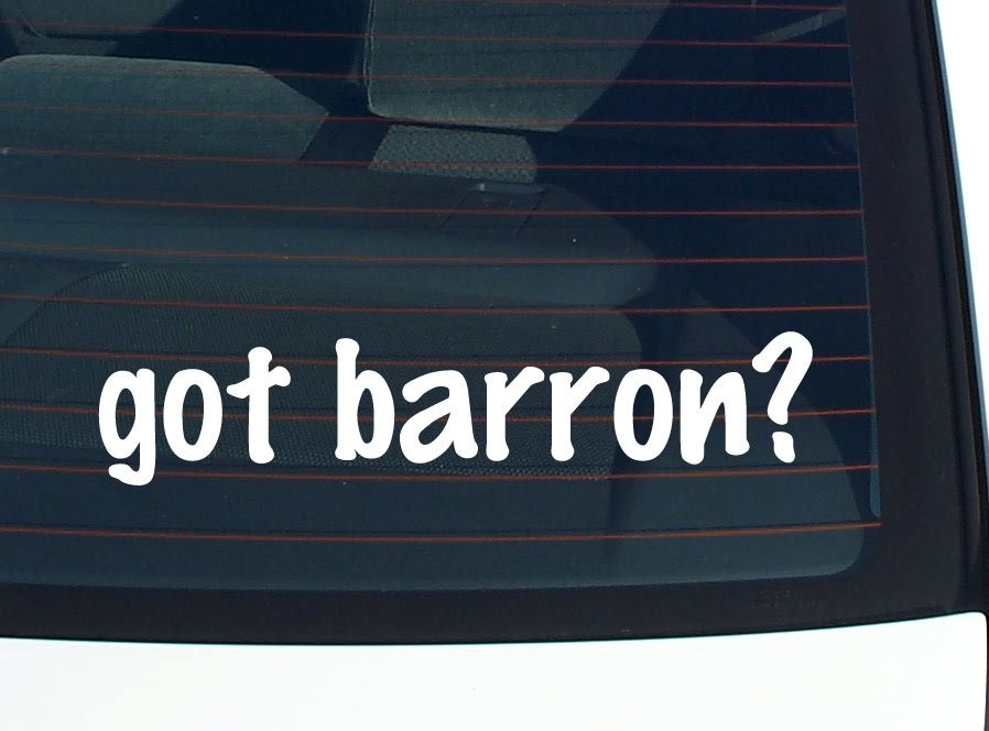 Got Barron Funny Last Name Car Decal Bumper Sticker Vinyl Window Pride