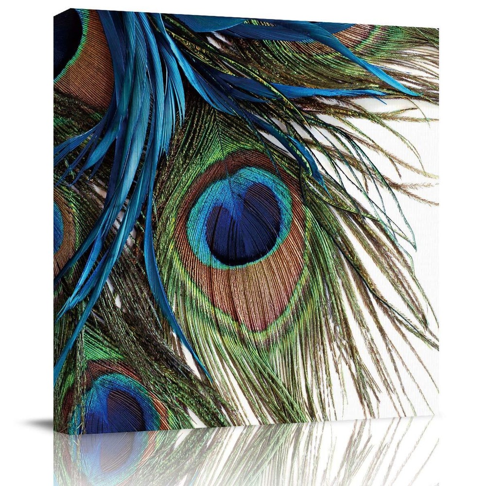 Peacock Feather Oil Painting Canvas Wall Art for Office Decor