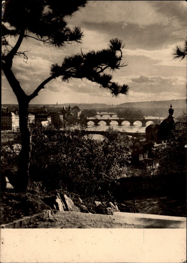 RPPC Vltava Bridges Prague Czech Republic vintage postcard b670