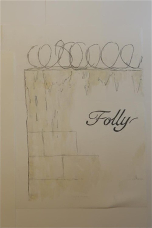 Folly (Paperback or Softback)