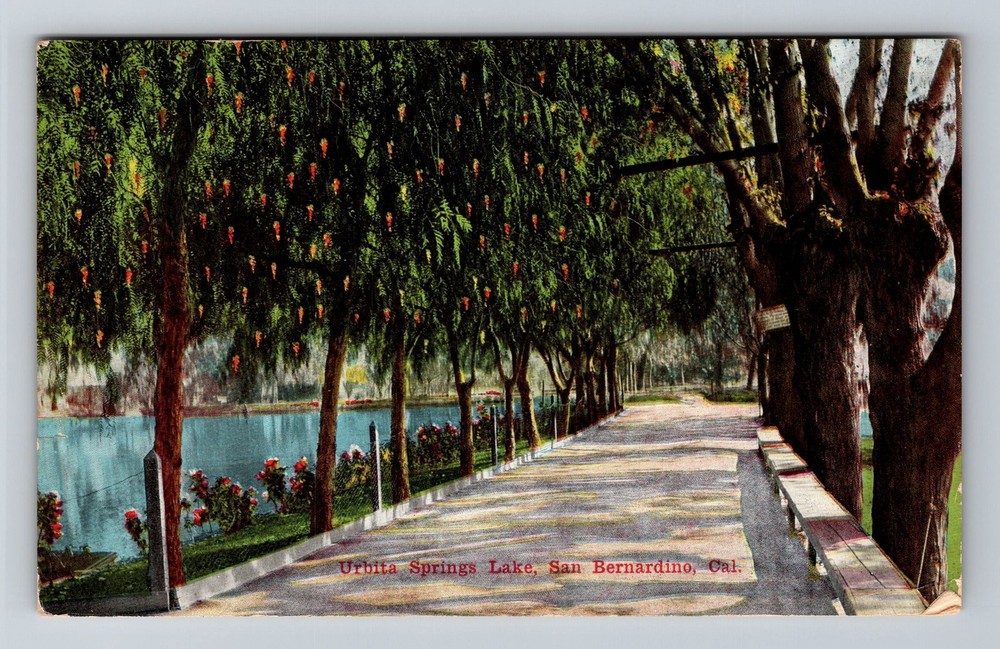 San Bernardino CA-California Urbita Springs Lake Vintage Postcard