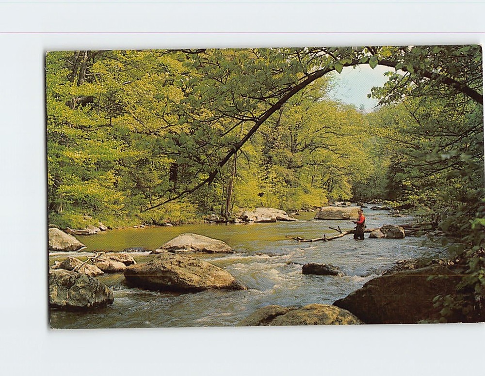Postcard A Fishermans Paradise Raritan River New Jersey USA