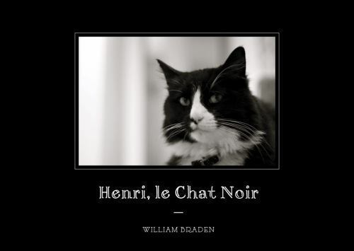 Henri, Le Chat Noir: The Existential Musings of an Angst-Filled Catby Braden, William | HC | VeryGood