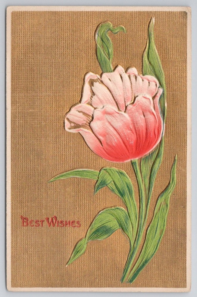 Best Wishes Embossed Tulip Postcard Bethlehem PA Postmark Made in Germany 1900s