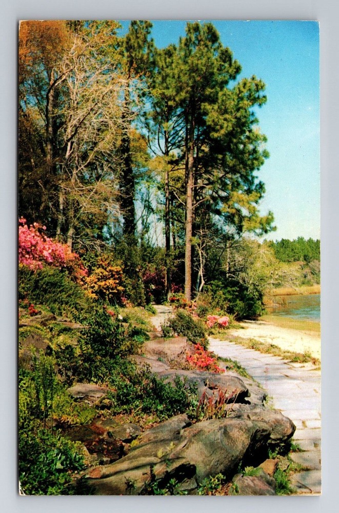 Mobile AL-Alabama, Bellingrath Gardens, Antique, Vintage Souvenir Postcard