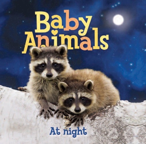 Baby Animals At Night by Editors of Kingfisher, Good Book