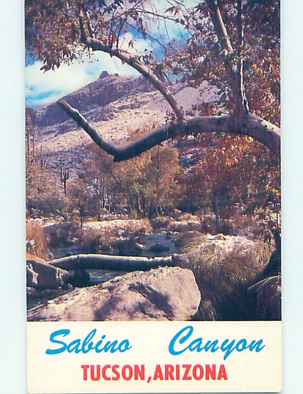 Unused Pre-1980 CANYON SCENE Tucson Arizona AZ hn4555