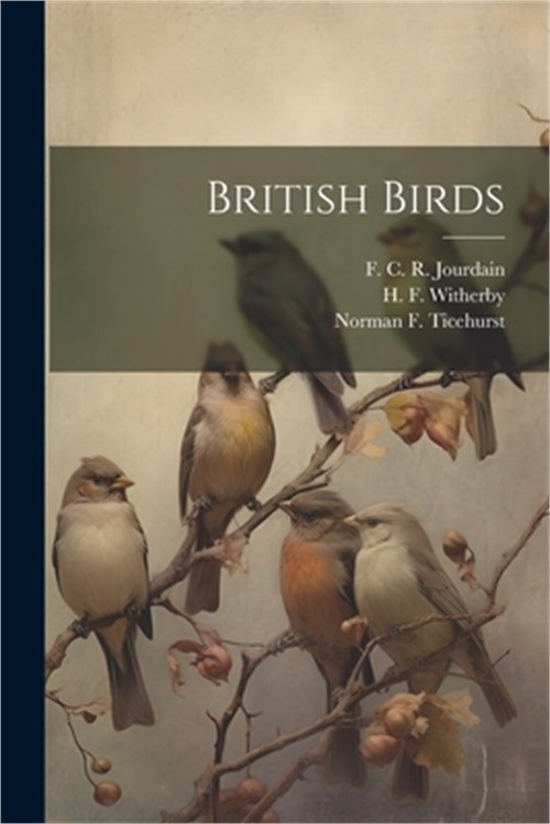 British Birds (Paperback or Softback)