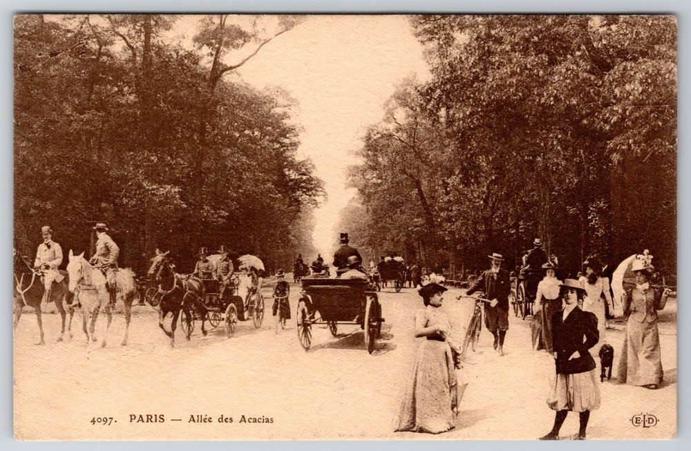 France Paris Allee des Acacias Bois de Boulogne Carriages on Promenade Postcard