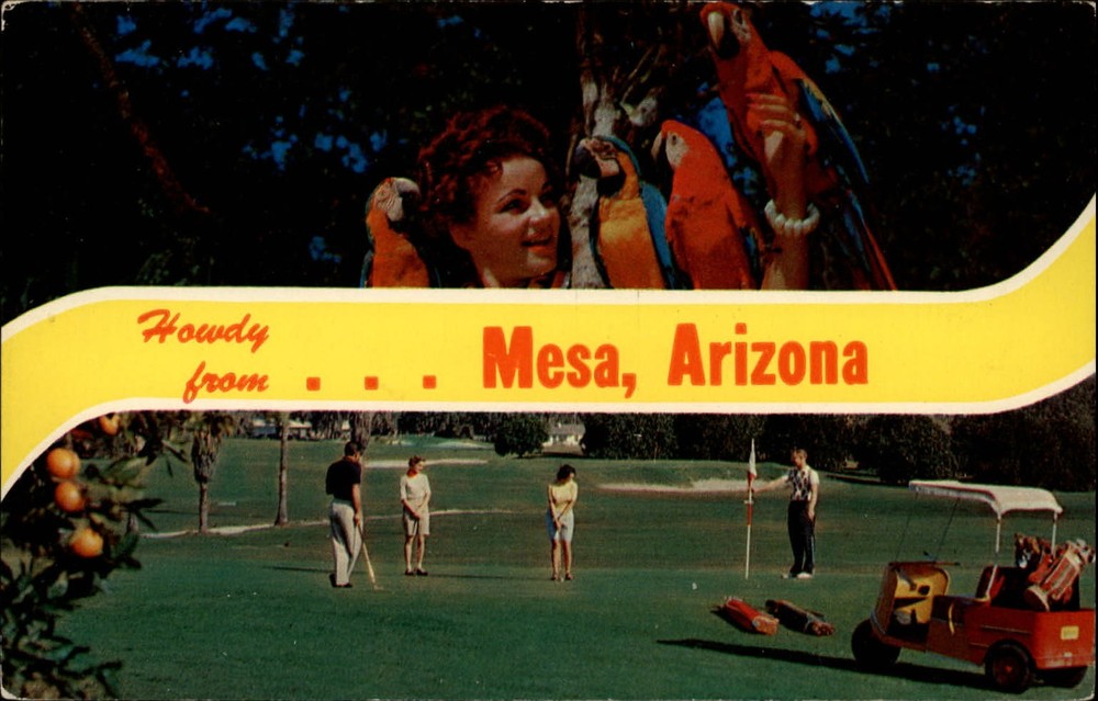Howdy from Mesa Arizona parrots golf course cart ~ 1950s-60s postcard