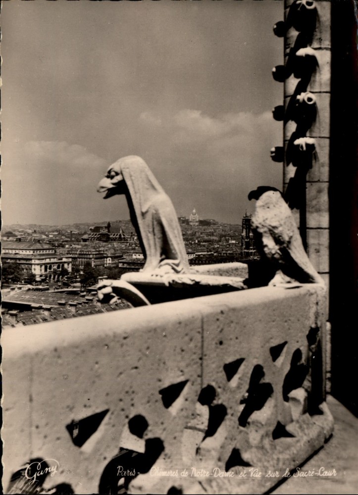 RPPC Gargoyles Notre Dame de Paris Paris France vintage postcard g786