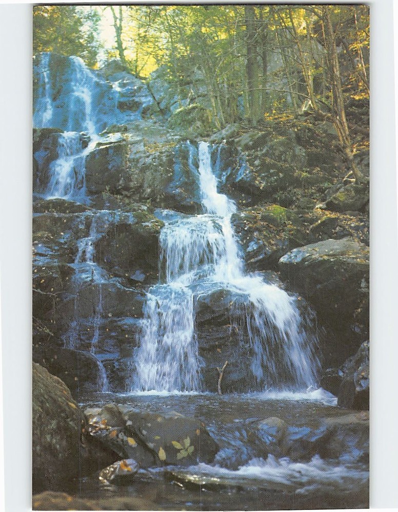Postcard Dark Hollow Falls Shenandoah National Park Virginia USA